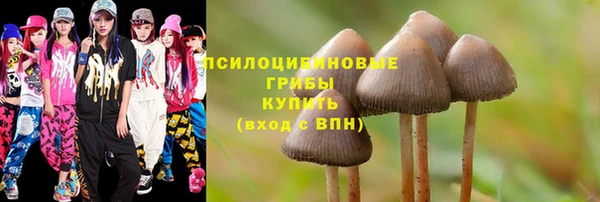 хмурый Алзамай