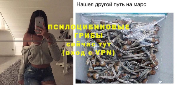 гашик Абдулино