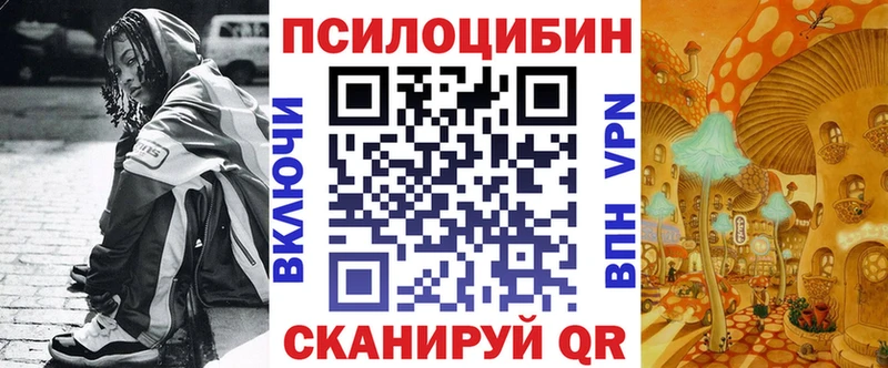 Псилоцибиновые грибы мухоморы  дарк нет телеграм  Пошехонье 